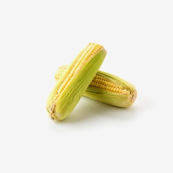 Maize