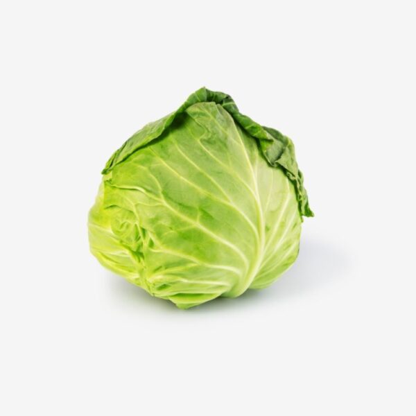 Cabbage