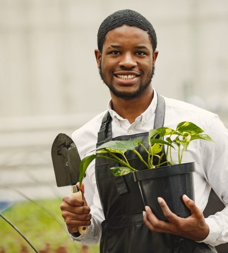Gardener in an apron. African guy in a greenhouse. Flowers in a pot.